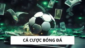 Cá Cược Bóng Đá