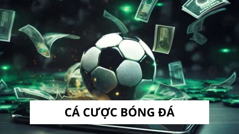 Cá Cược Bóng Đá