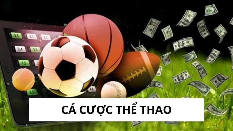 Cá Cược Thể Thao